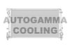 AUTOGAMMA 105370 Radiator, engine cooling